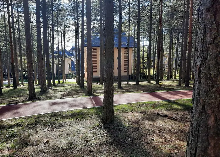 Zlatibor M